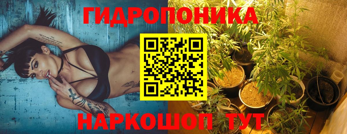 Бошки Шишки семена Владикавказ